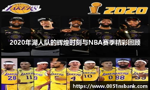 智博19