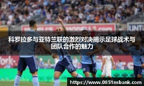 智博19